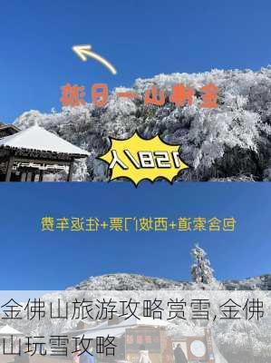 金佛山旅游攻略赏雪,金佛山玩雪攻略