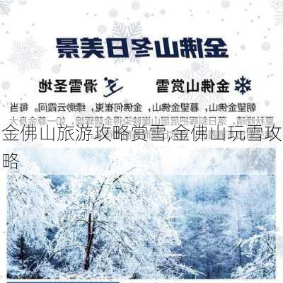 金佛山旅游攻略赏雪,金佛山玩雪攻略-第3张图片-呼呼旅行网