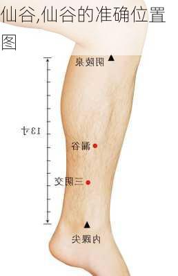 仙谷,仙谷的准确位置图-第3张图片-呼呼旅行网