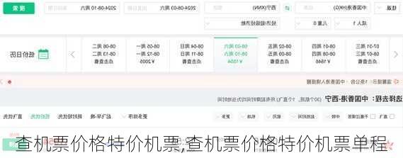 查机票价格特价机票,查机票价格特价机票单程-第2张图片-呼呼旅行网