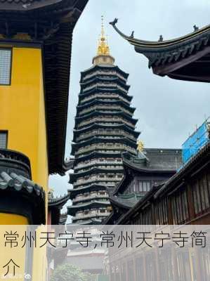 常州天宁寺,常州天宁寺简介-第3张图片-呼呼旅行网