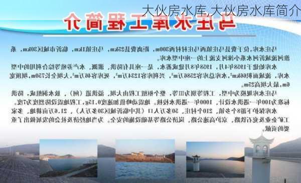 大伙房水库,大伙房水库简介-第1张图片-呼呼旅行网