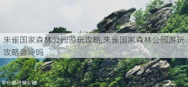 朱雀国家森林公园游玩攻略,朱雀国家森林公园游玩攻略会冷吗-第3张图片-呼呼旅行网