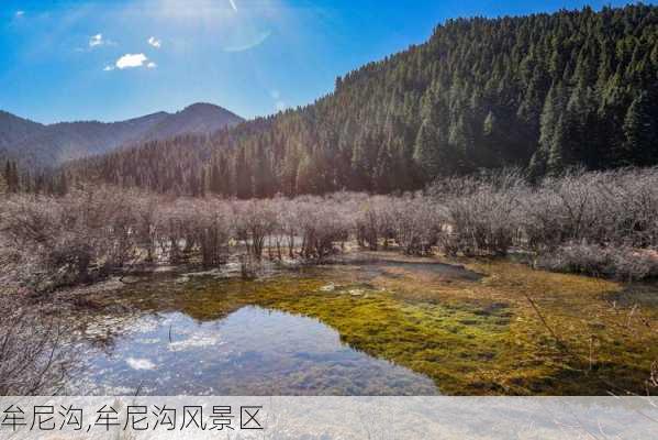 牟尼沟,牟尼沟风景区-第2张图片-呼呼旅行网