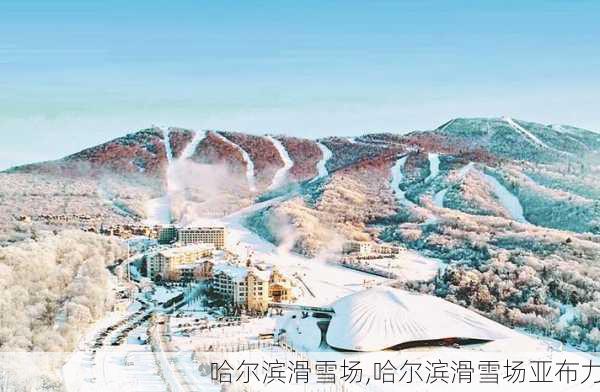 哈尔滨滑雪场,哈尔滨滑雪场亚布力-第2张图片-呼呼旅行网