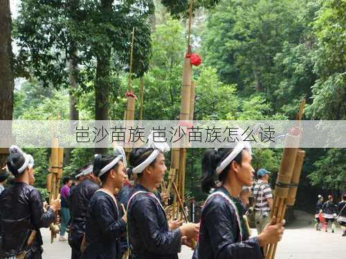 岜沙苗族,岜沙苗族怎么读-第2张图片-呼呼旅行网