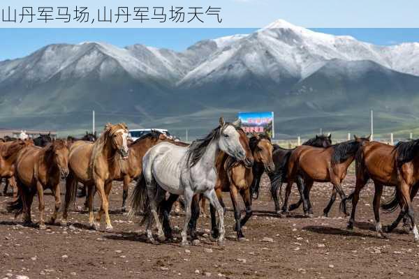 山丹军马场,山丹军马场天气