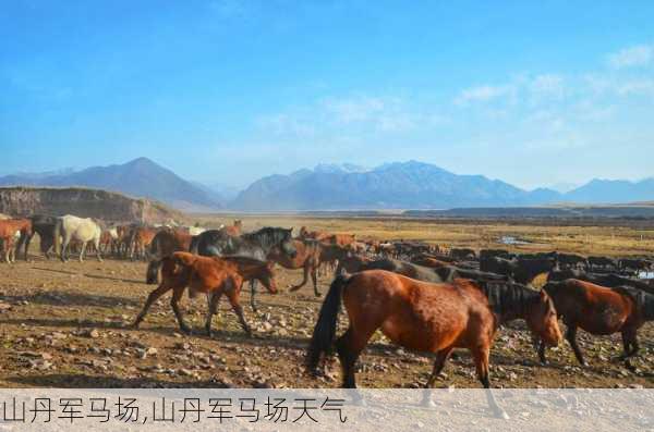 山丹军马场,山丹军马场天气-第2张图片-呼呼旅行网