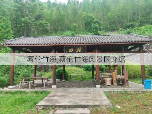 蔡伦竹海,蔡伦竹海风景区介绍-第1张图片-呼呼旅行网