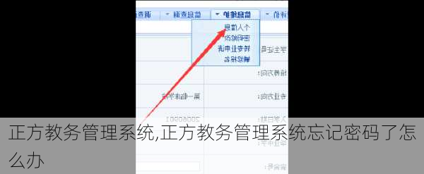 正方教务管理系统,正方教务管理系统忘记密码了怎么办-第3张图片-呼呼旅行网