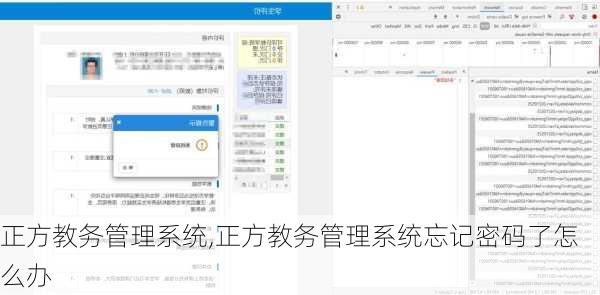 正方教务管理系统,正方教务管理系统忘记密码了怎么办-第2张图片-呼呼旅行网