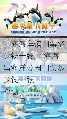 上海海洋馆门票多少钱一张,上海海昌海洋公园门票多少钱一张-第1张图片-呼呼旅行网