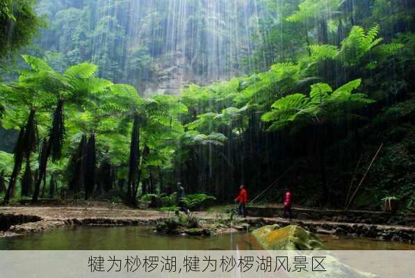 犍为桫椤湖,犍为桫椤湖风景区-第2张图片-呼呼旅行网