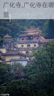 广化寺,广化寺在哪里-第1张图片-呼呼旅行网