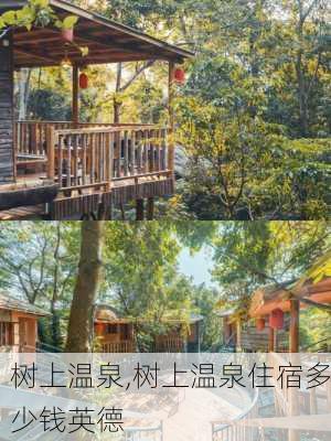 树上温泉,树上温泉住宿多少钱英德-第3张图片-呼呼旅行网