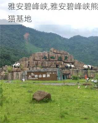 雅安碧峰峡,雅安碧峰峡熊猫基地-第1张图片-呼呼旅行网