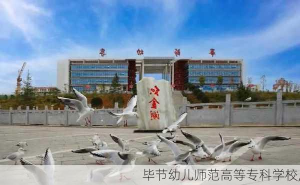 毕节幼儿师范高等专科学校,-第3张图片-呼呼旅行网