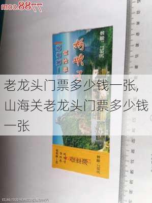 老龙头门票多少钱一张,山海关老龙头门票多少钱一张-第2张图片-呼呼旅行网