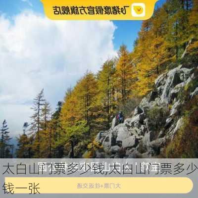 太白山门票多少钱,太白山门票多少钱一张-第2张图片-呼呼旅行网