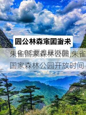 　　朱雀国家森林公园,朱雀国家森林公园开放时间-第2张图片-呼呼旅行网