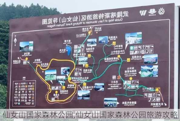 仙女山国家森林公园,仙女山国家森林公园旅游攻略-第1张图片-呼呼旅行网