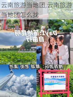 云南旅游当地团,云南旅游当地团怎么找-第3张图片-呼呼旅行网