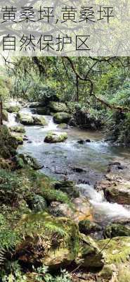 黄桑坪,黄桑坪自然保护区-第3张图片-呼呼旅行网