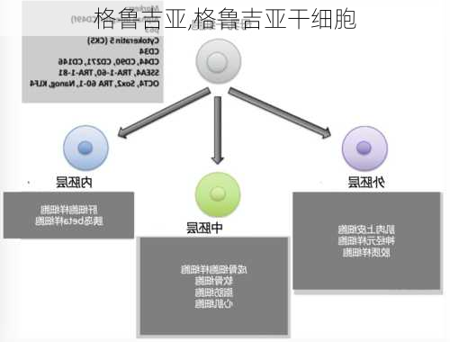 格鲁吉亚,格鲁吉亚干细胞-第3张图片-呼呼旅行网