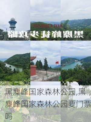 黑麋峰国家森林公园,黑麋峰国家森林公园要门票吗-第2张图片-呼呼旅行网