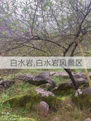 白水岩,白水岩风景区-第3张图片-呼呼旅行网