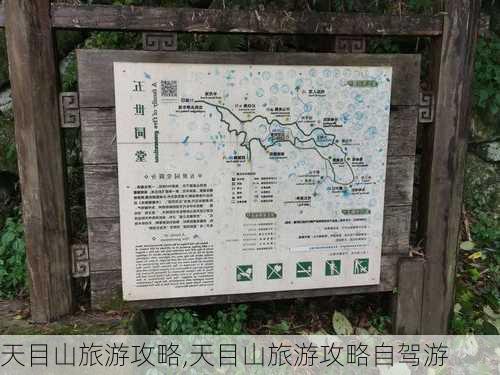 天目山旅游攻略,天目山旅游攻略自驾游-第3张图片-呼呼旅行网