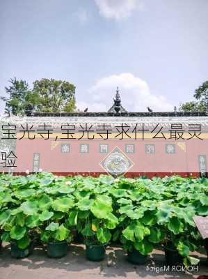 宝光寺,宝光寺求什么最灵验-第3张图片-呼呼旅行网