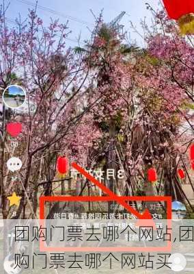 团购门票去哪个网站,团购门票去哪个网站买-第3张图片-呼呼旅行网