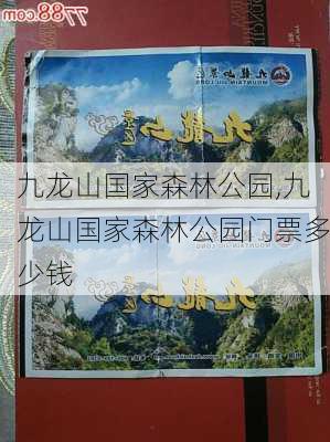 九龙山国家森林公园,九龙山国家森林公园门票多少钱