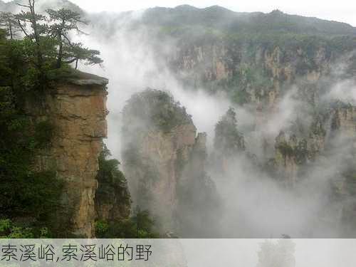 索溪峪,索溪峪的野-第3张图片-呼呼旅行网