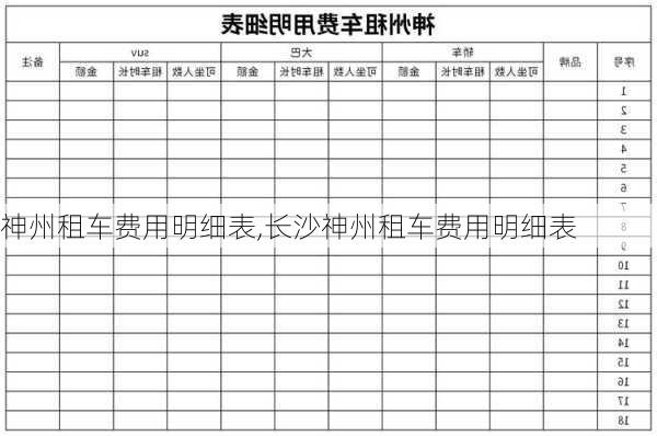 神州租车费用明细表,长沙神州租车费用明细表