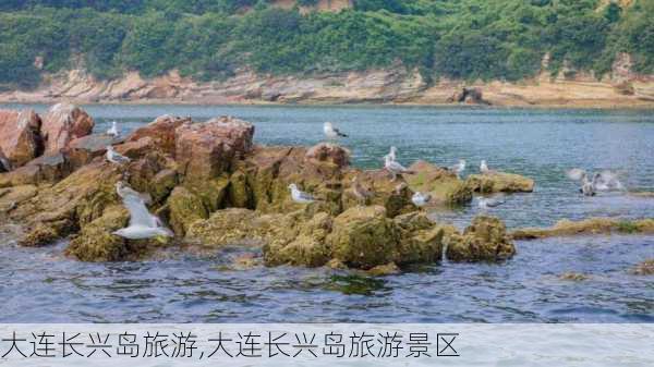 大连长兴岛旅游,大连长兴岛旅游景区-第3张图片-呼呼旅行网