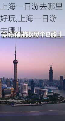 上海一日游去哪里好玩,上海一日游去哪儿-第2张图片-呼呼旅行网