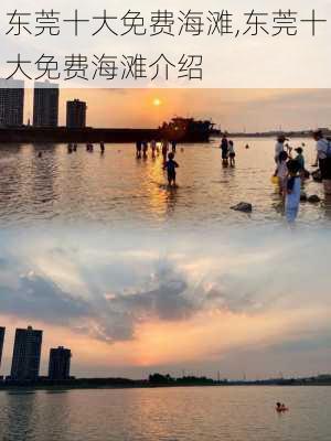 东莞十大免费海滩,东莞十大免费海滩介绍