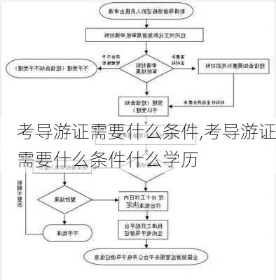 考导游证需要什么条件,考导游证需要什么条件什么学历