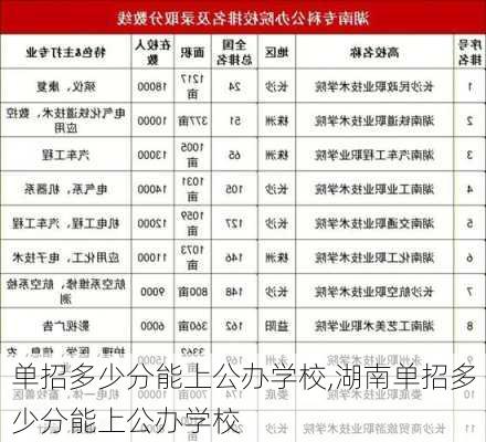 单招多少分能上公办学校,湖南单招多少分能上公办学校-第3张图片-呼呼旅行网