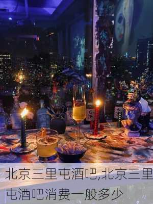 北京三里屯酒吧,北京三里屯酒吧消费一般多少-第3张图片-呼呼旅行网