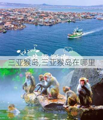 三亚猴岛,三亚猴岛在哪里-第3张图片-呼呼旅行网