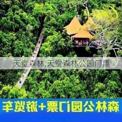 天堂森林,天堂森林公园门票-第1张图片-呼呼旅行网