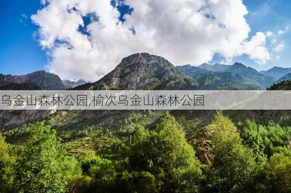 乌金山森林公园,榆次乌金山森林公园-第1张图片-呼呼旅行网