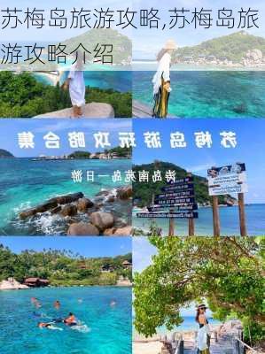 苏梅岛旅游攻略,苏梅岛旅游攻略介绍-第2张图片-呼呼旅行网