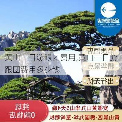 黄山一日游跟团费用,黄山一日游跟团费用多少钱-第2张图片-呼呼旅行网