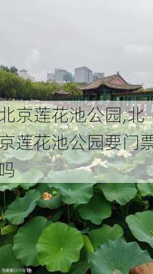 北京莲花池公园,北京莲花池公园要门票吗-第3张图片-呼呼旅行网