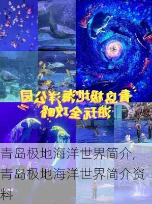 青岛极地海洋世界简介,青岛极地海洋世界简介资料-第2张图片-呼呼旅行网