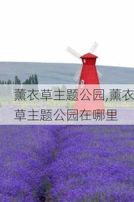 薰衣草主题公园,薰衣草主题公园在哪里-第2张图片-呼呼旅行网